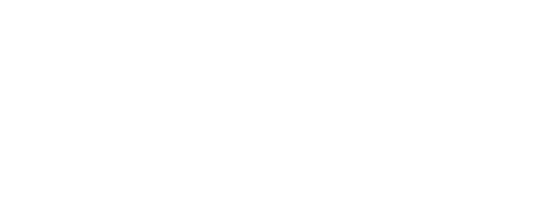 その殺し合いを生き延びた者は、どんな戦いでもたったひとつだけけ叶えることができる――戦いの名は「十二大戦」。参加者は『子』『丑』『寅』『卯』『辰』『巳』『午』『未』『申』『酉』『戌』『亥』の十二人、異様なる戦士たち。最後に生き残る者は誰か？策謀と殺戮の渦巻く戦場で、流れるのは誰の涙か？魂を揺さぶるバトルロイヤル、開戦！